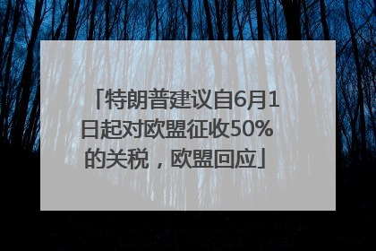 特朗普建议自6月1日起对欧盟征收50%的关税，欧盟回应